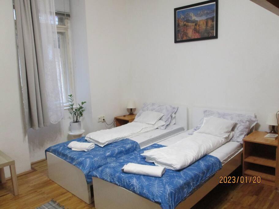 Lavender Apartment Near Heroes' Square & Puskas Stadium 布达佩斯 外观 照片